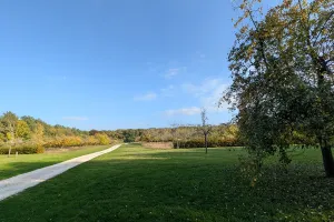 Sortie nature à Vauclair : "Arbres, fruits forestiers et cycle de la matière"