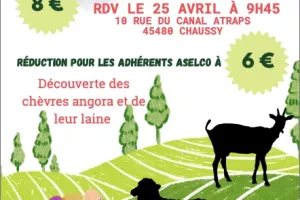 Visite à la ferme des p’tits bergers