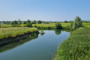 Papillons et autres petites bêtes du marais de la Touques