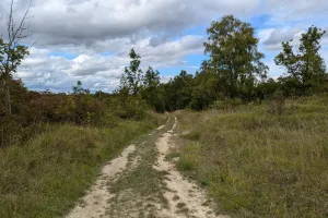 Sortie nature à Cerny-en-Laonnois : "La nuit tous les papillons ne sont pas gris !"