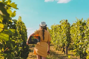 "Les vignerons prennent l'Aire" - Château Rozier