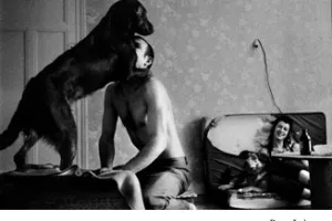 Exposition : GRAIN & GRAINES DE REGARDS à Thoré-la-Rochette