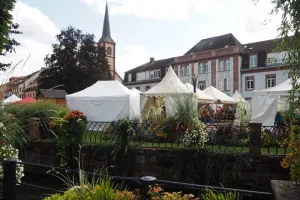 Fête de l'écotourisme