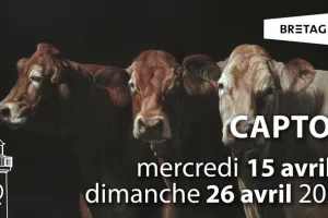 Capton - Bestiaire