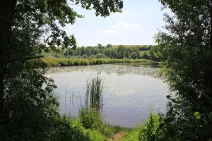 Sortie nature : le Vieil-étang de Bairon