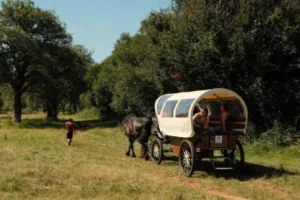 Nomades des Terres : Balades Contées