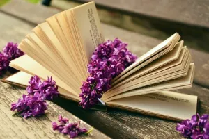 9ème édition du Salon du Livre-La Roche-Chalais