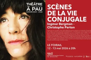 Théâtre à Pau - Scènes de la vie conjugale