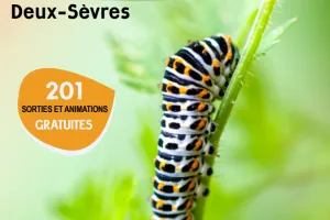 Sortie nature : A la rencontre des araignées