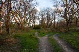 Chemin d'étang, raconte-nous la Brenne