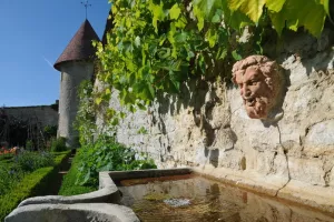 Visite guidée « Les secrets de la source »