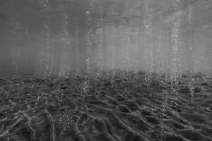 Exposition : Hydroscape