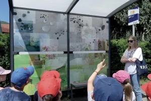 Activité : visite accompagnée de la FEW