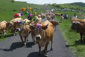 FÊTE DE LA TRANSHUMANCE AU COL DE BONNECOMBE ET FESTI'RANDO
