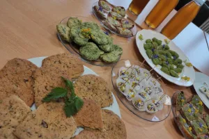 Cueillette et dégustation de plantes sauvages - formule apéritif dînatoire