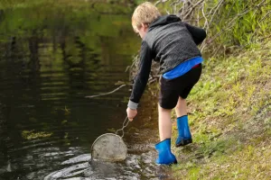 Découverte des petites bêtes de l’eau au parc des tanneries