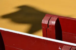 Visite guidée : Corrida