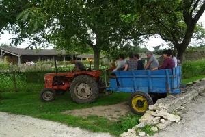 Fête des jeux anciens