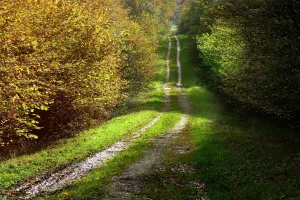 Trail "Del Tuc al Riu" à Saint-Chamarand