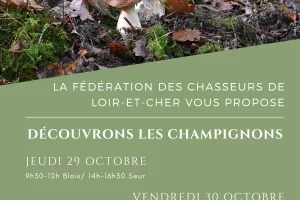 Instants Nature - Découvrons les champignons à Blois