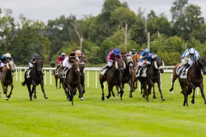 Courses Trot/Obstacle