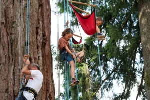 Atelier initiation à la "grimpe d'arbre"