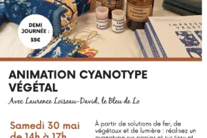 Animation cyanotype végétal