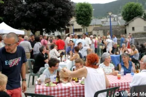 GUINGUETTE FERMIÈRE