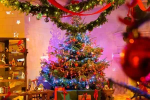 Noël au pays des châteaux : Noël au pays des fées