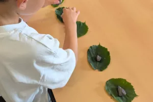 Pierre, feuille, bâton, jouons nature !