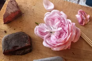 Atelier rituel cacao sacré et voyage chamanique