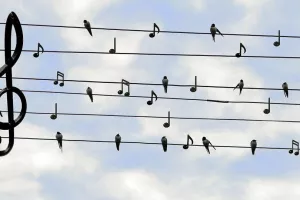 Concert annuel