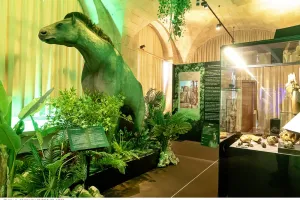 Visite guidée de l'exposition La Touraine Tropicale