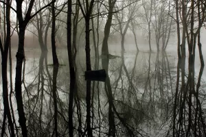 Inauguration "sauvage" : art et nature en dialogue - La Moselle Sauvage en Fête !