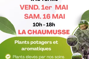 Vente de plants potagers et aromatiques à la ferme