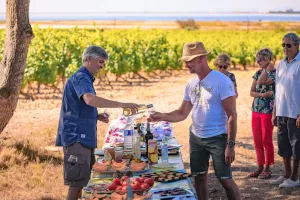 BALADE VIGNERONNE