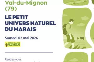 Le petit univers naturel du marais à Val-du-Mignon