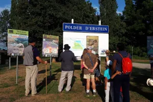 Visite guidée à la Réserve naturelle nationale de la Forêt d’Erstein