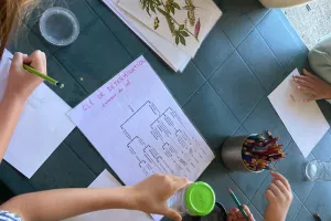 Atelier "En[quête] d’insectes"