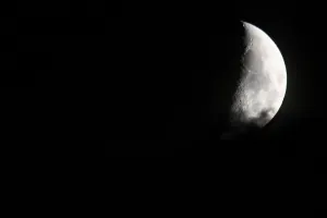 Un soir de pleine lune sur la prairie de l'étang Massé