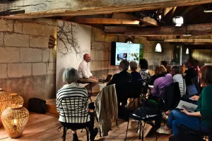 Conversations sous l'arbre