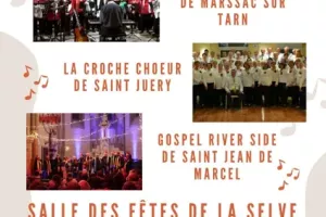 Concert solidaire – 3 chorales pour une belle cause