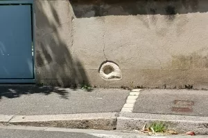 Sur les pas de l'ammonite - Atelier 6/12 ans