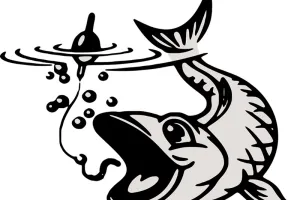 Fête de la pêche et brocante