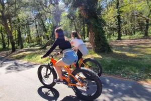 Balade accompagnée en fat bike électrique : plage et forêt