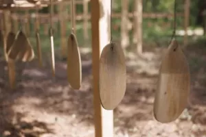 Les 5 sens de la Forêt Monumentale