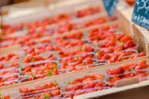 Marché traditionnel saisonnier