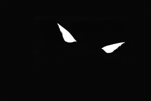 Loup noir ou la naissance d’une couverture