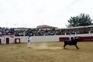 Découvrez la course landaise de l'intérieur avec un ambassadeur passionné