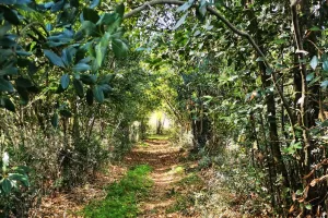 Journée Nature